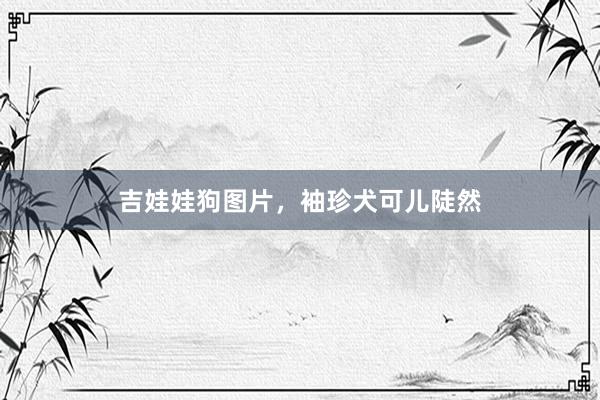 吉娃娃狗图片，袖珍犬可儿陡然