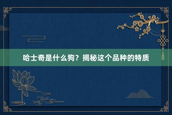 哈士奇是什么狗？揭秘这个品种的特质